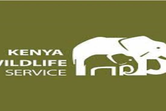 KWS Recruitment (April 2024): 1500 Open Jobs/Vacancies Application at Kenya Wildlife Service