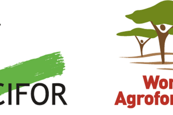 World Agroforestry (ICRAF) Recruitment ( April 2024): 10 Job Vacancies Open For Application